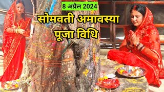 सोमवती अमावस्या पूजा विधि 2024  somvati amavasya Puja vidhi  पीपल वृक्ष की पूजा कैसे करें [upl. by Quinton]