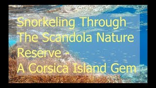 Snorkeling Through The Scandola Nature Reserve [upl. by Rondi333]