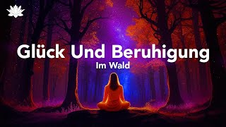 Meditation im Wald 🦉 Glück und Beruhigung [upl. by Blatt]