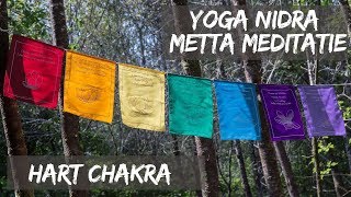 GELEIDE MEDITATIE Yoga Nidra met Metta Meditatie [upl. by Launamme953]