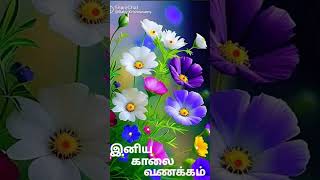 Sollividu velli nilavae  Amaithi padai movie song [upl. by Ancilin]