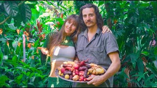 Our Food Forest in Australia  What we grow and eat from our garden [upl. by Bergess]