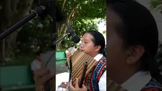 Cóndor Pasa ❤️ coversong davidmoralessk live flutemusic relax live flutecover elcondorpasa [upl. by Rabma723]