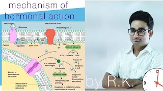 Mechanism of hormonal action  NCERT Based for NEET students [upl. by Feldt310]