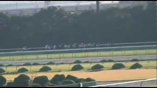 2012 菊花賞 Japanese St Leger Stakes ゴールドシップ [upl. by Traweek695]