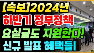 속보 2024년 하반기 정부정책 발표 요실금도 지원한다 신규 대박 혜택들 복지혜택 정부정책 [upl. by Erimahs895]