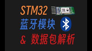 【keysking的STM32教程】第11集 使用蓝牙模块与简易数据包解析未命名 [upl. by Gnohp]