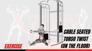 Cable Seated Torso Twist On the floor Exercise [upl. by Nauqaj]