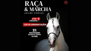 LIVE DE APRESENTAÇÃO LEILÃO VIRTUAL RAÇA amp MARCHA [upl. by Lebezej]