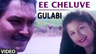 Ee Cheluve Video Song  Gulabi Kannada Movie Songs  Ramkumar Roshini  Ilayaraja  S Narayan [upl. by Nashner]