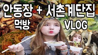 먹방 VLOG✨ 을지로안동장  서촌계단집 맛집 투어🔥 [upl. by Halle390]