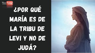 ¿Por qué María es de la tribu de Levi y no de Judá [upl. by Lebazej]