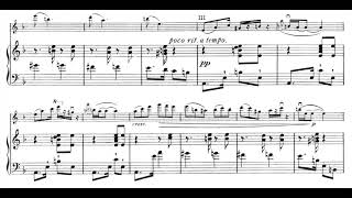 Sarasate  Habanera piano accompaniment [upl. by Nyllewell]