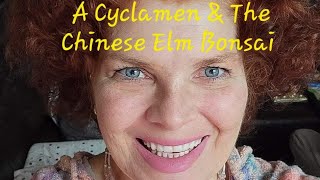 A Cyclamen amp The Chinese Elm Bonsai  Growing Crazy With Jeanette  S4 E11 [upl. by Reyotal124]