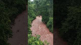 serranía del Perijá lo más bello que nos brinda la naturaleza [upl. by Akihsan184]