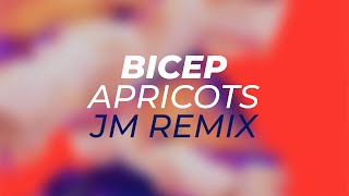 Bicep  Apricots JM Remix [upl. by Dotty]