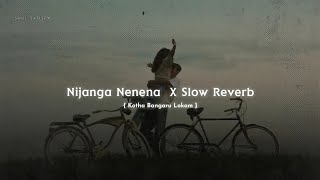 Nijanga Nenena Slowed Reverb Song   Kotha Bangaru Lokam  Soul Satisfy [upl. by Braunstein120]