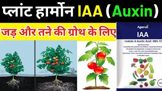 IAAAuxin HormoneIndole 3 Acetic Acid प्लांट हार्मोनजड़ और तने की ग्रोथ के लिए PGP [upl. by Spanos]