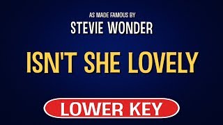 Stevie Wonder  Isnt She Lovely  Karaoke Lower Key [upl. by Audly296]