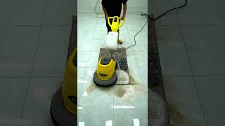 Testing Famous Carpet Cleaning Tips – Do They Really Workquot [upl. by Ardnosal]