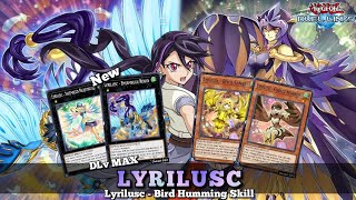 New Lyrilusc Deck with Lyrilusc  Bird Humming Skill KC Cup Duel DLv MAX YuGiOh Duel Links [upl. by Ahsiela136]