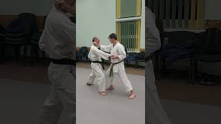 Chinte kata effective bunkai nr 1 shorts [upl. by Rafaelof]