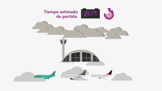 Hablemos Claro Volaris A Tiempo [upl. by Shem]