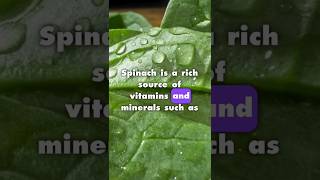 SPINACH Holds The Secret To AMAZING Health [upl. by Gordie457]