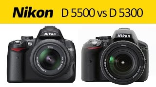 NIKON D5500 VS D5300 PICTURE QUALITY COMPARISON [upl. by Sada]