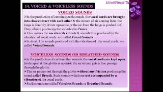 Organs of Speech RespiratoryPhonatoryArticulatory Voiced amp VoicelessOralNasalNasalized Sounds [upl. by Profant215]