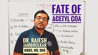 7 Fate of Acetyl CoA [upl. by Lahsiv791]