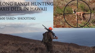 Long Range Hunting  Axis Deer  LANAI HAWAII 610 yd shot [upl. by Akeihsal761]