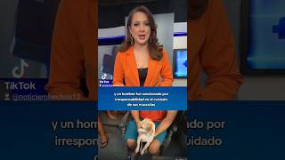 Estas son algunas de las noticias más importantes de la tarde un reporte de Célida Magaña [upl. by Yrrab]