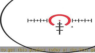 Burris RT6 16x24mm Tactical Rifle Scope [upl. by Jenelle]