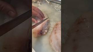 FishTacos Rockfish OregonFishing how to remove the bones from a rockfish fillet very easy ￼￼ [upl. by Melitta]