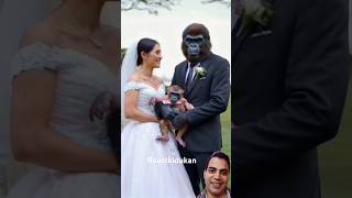 Nice Jodi monkey wedding love [upl. by Haugen]