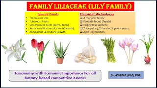 Family Liliaceae a lily family [upl. by Thibault]