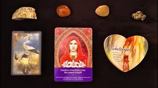 Tagesbotschaft 19112024 Lenormand Die Störche 17 Veränderung Wandel Liebe MARIA MAGDALENA Engel [upl. by Lew]