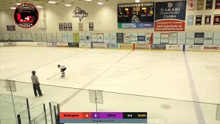 Shakopee vs CCHA [upl. by Nodnalb]