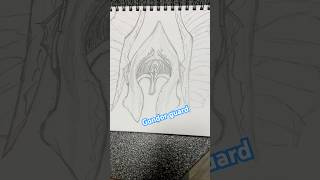 Gondor guard lordoftheringsart art drawing artdrawing malachi sketch draw lordoftherings [upl. by Nomyaw14]