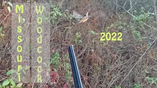 MO Woodcock 2022 [upl. by Aenet]