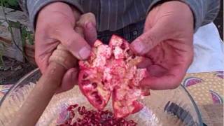 Fastest Way to DeSeed a Pomegranate and Harvesting Fresh Poms [upl. by Annoeik]