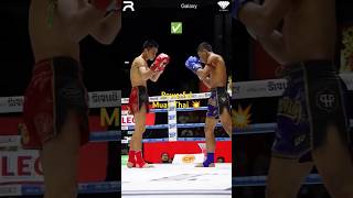 Powerful Muay Thai 💥 [upl. by Ittap]