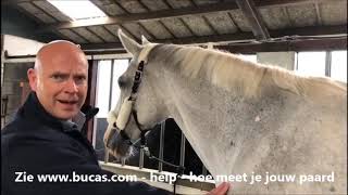 Paardendeken Meten is weten  Bucas [upl. by Mayce743]