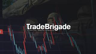 Trade Brigade Live Stream [upl. by Ayerim]