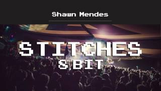 Shawn Mendes  Stitches 8 Bit Cover [upl. by Hanshaw]