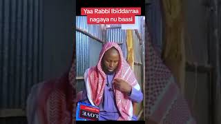 Yaa Rabbi ibidda jalaa nagaya nubaasi voiceeffects sheikh duet [upl. by Nerot]