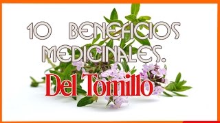 10 Beneficios Medicinales Del Tomillo [upl. by Araccot965]