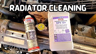 DIY Car Radiator Flush and Cleaning  Guide to Clean Your Radiator at Home [upl. by Adiarf735]