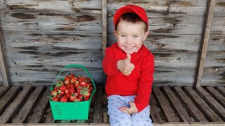 Roundstone Farm 🍓 [upl. by Anialam854]